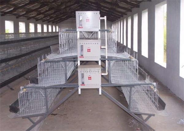 Q235 A Type Layer Chicken Cage