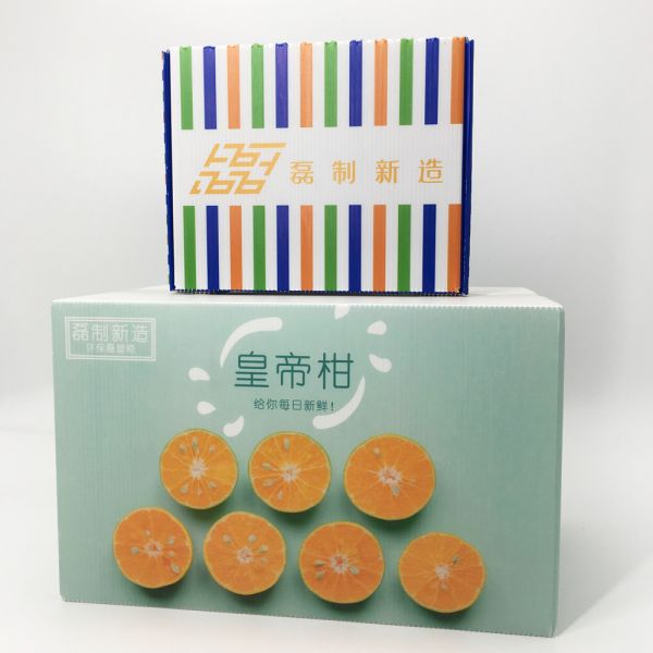 Corrugated Plastic Carton Packaging Agricultural Freshness Retain Food Grade Package Box