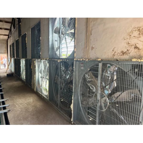 Corrosion Resistant Energy Saving Automatic Feed Poultry Ventilation System for Chicken House