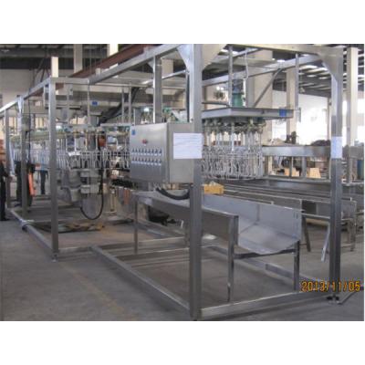 300-500 galinhas/h Máquina automática de abate