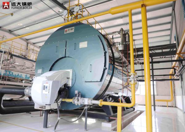 Biogas Methane Fired High Efficiency Gas Boiler 6 Ton / H For Garment Factory