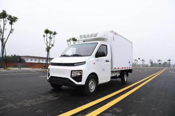 Geely F1E Pure Electric Refrigerated Box Truck Horsepower 150hp Small Freezer Trucks