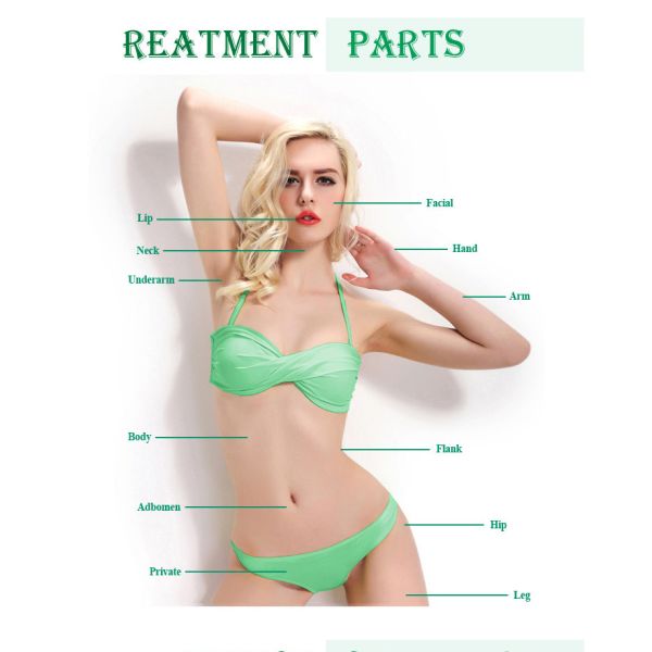 Vertical Diode Laser Hair Removal Machine Permanent Painless 808nm