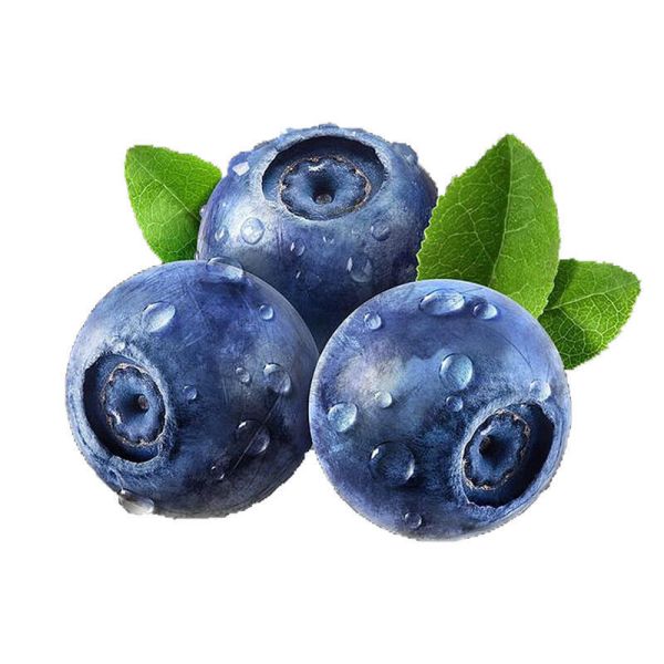 Wholesale Price Blueberry  Freeze Dried Blueberry Fruit Powder