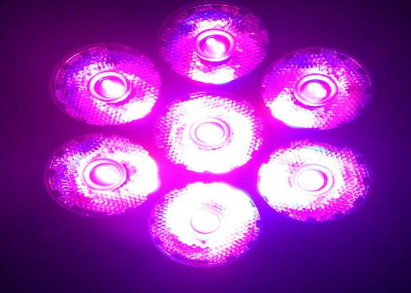 Night Club Beam LED Moving Head Light for Concert / Theatre / Holiday
