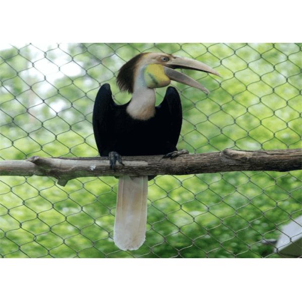 Ferrule 20mm-300mm Aperture Flexible Stainless Steel Cable Mesh For Aviary