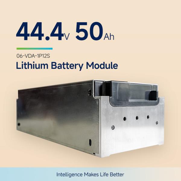 2.2Kwh Standard 44.4V 50Ah VDA NMC Lithium Battery Module For E Truck Electric Vehicle