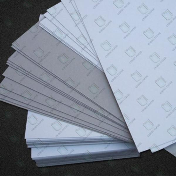 Durable 250gsm 300gsm 350gsm 400gsm Coated Duplex Board Grey Back For Boxes