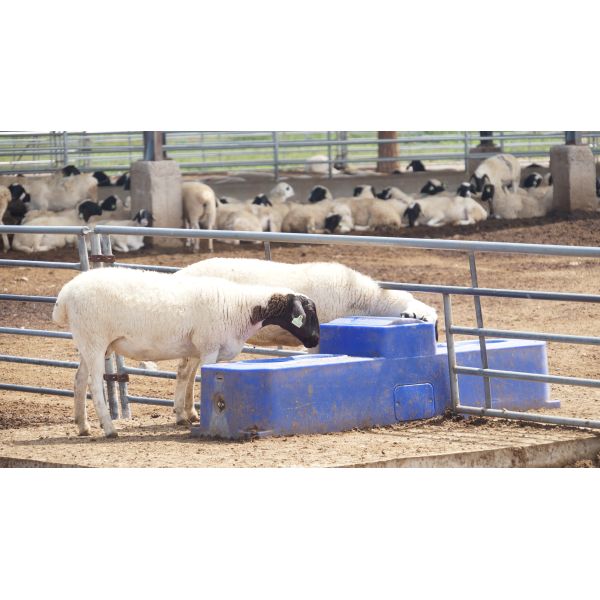 Heavy Duty Blue Cattle Water Trough - 60L Capacity 300mm Drinking Height
