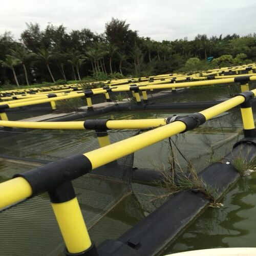 Large Size Square HDPE Floating Fish Cage Anti-Wind Wave Corrosion Resistant Aquaculture Net Cage for Tilapia Farming