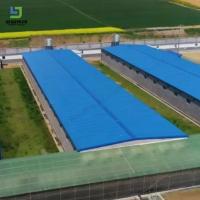 Custom Steel Structure Poultry House for Broiler Layer Chicken Farming