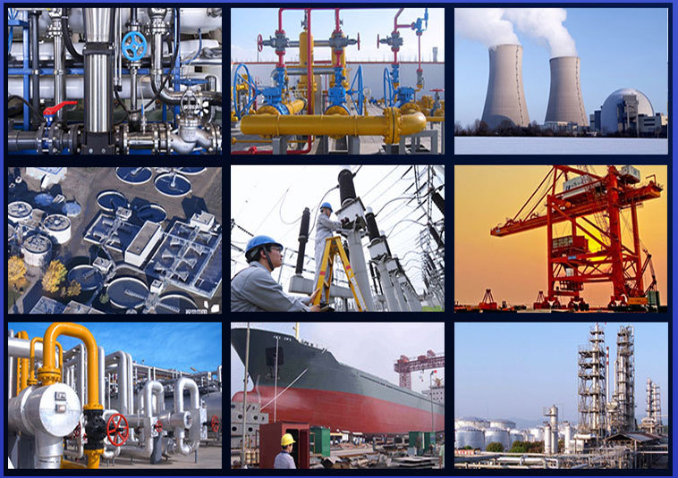 Полное свидетельство Бабочья клапан DIN BS JIS Flange DI CI WCB корпус двойной фланцевой клапан