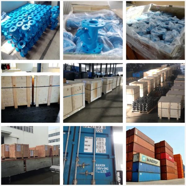 Отличный подвижный железный резиновый флакон чековый клапан для продвижения сред при нормальной температуре