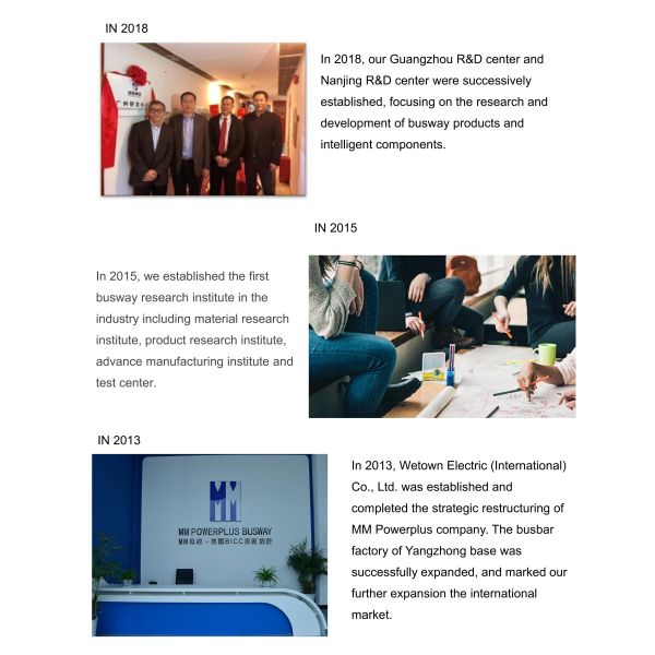 Wetown Electric Group Co.,Ltd.