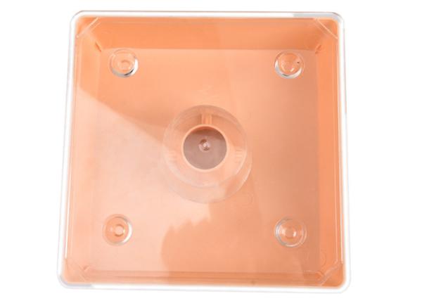 Quadrado europeu plástico Honey Bee Feeder For Beekeeping