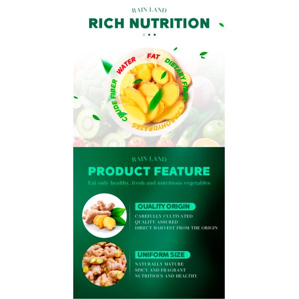 Organic Fresh Yellow Young Ginger Farm-Grown Chinese Ginger High-quality 100% Pure Natural Specification