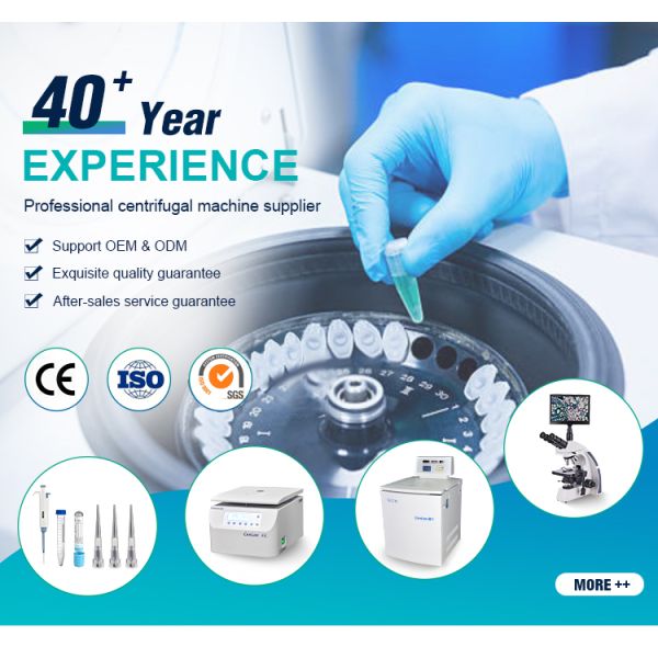 16600rpm 21532xg Stainless Steel High Speed Refrigerated Centrifuge for Lab Use