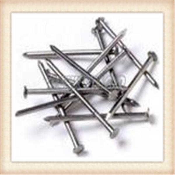 common nails,2.5' 500mm roofing nails，anping factory price