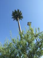 Árbol camuflado los 50m duradero de la torre del teléfono celular