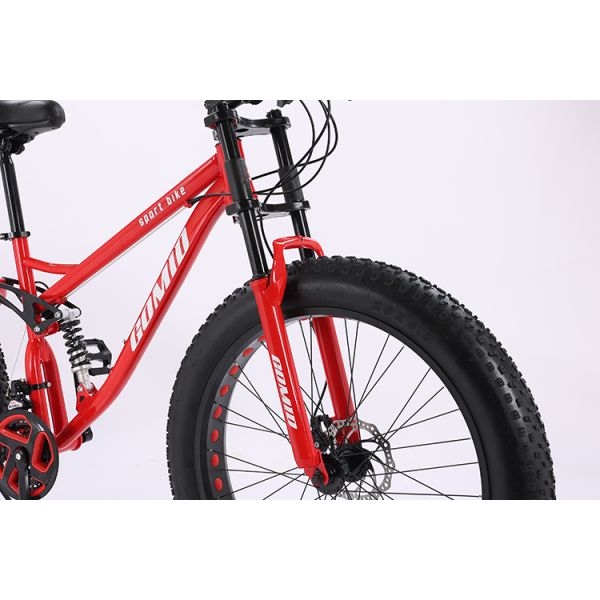 Fat tire vélo Fatbike personnalisable Croisière Neige Pleine suspension Vélo de montagne Vélo de plage Vélos à queue douce 21 vitesses