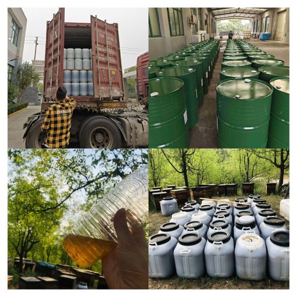 Оптовая торговля натуральным пчелиным медом Сидрный мед 100% натуральные продукты пчелы из Китая