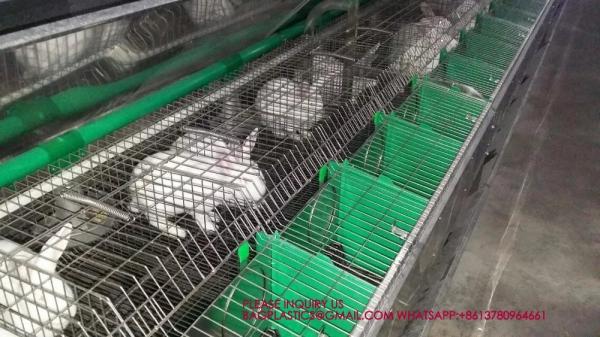 Rabbit Cage, Cage Net Galvanized Wire Poultry Farming Meat Broiler Battery Rearing Cage