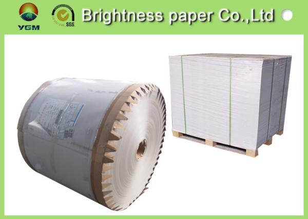 Coated 2 side white back duplex board 300gsm in sheet or roll for making boxes