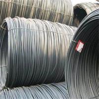 Tratamiento revestido de plata del Sae 1006 de alambre del indicador de acero de Rod 12