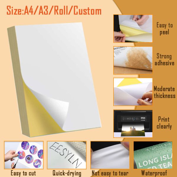 Glossy Cast Coated Jumbo Roll A4 Shipping Labels Adhesive Paper & Film Stock