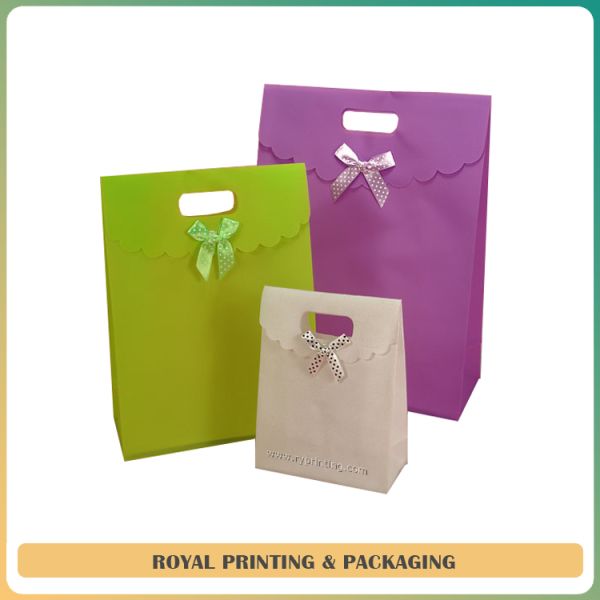 shoes/apparel/cosmetic/jewelry paper bag customize made