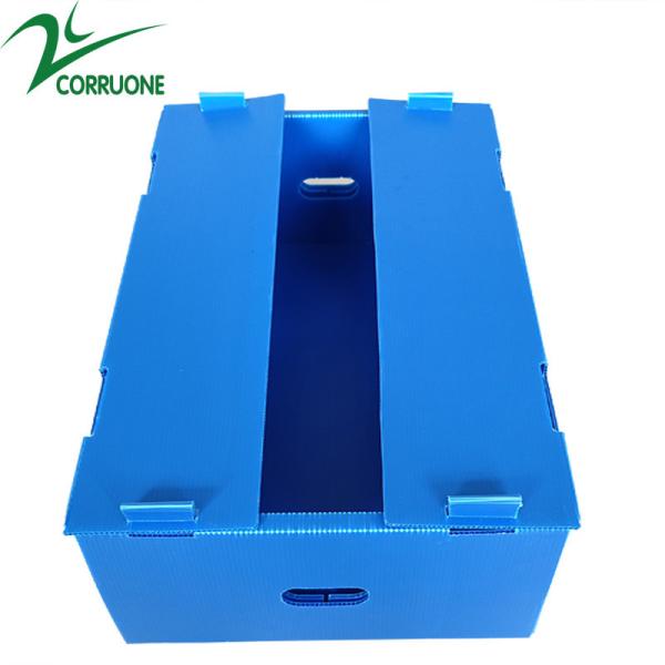 Corruone Hot Sale Customized waterproof foldable PP polypropylene sheet Material Vegetable Fruit Packaging and delivery Boxes