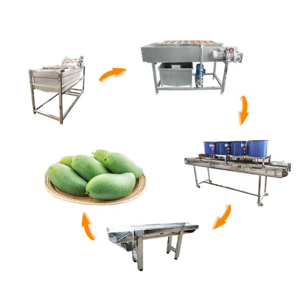Hot selling High Pressure Washing Machine Fruit Wash Machine Automatic by Huafood