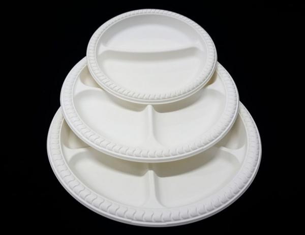 Audit ISO 9001 Certified Disposable Plates and Cutlery for Sustainable Celebrations