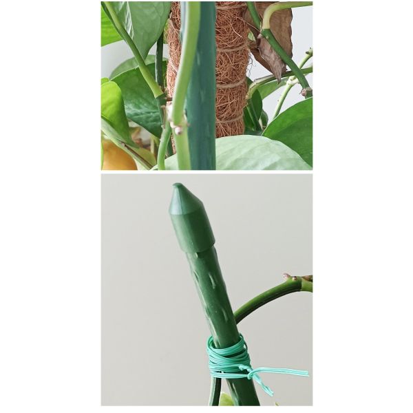 Green Plastic Coated Metal Plant Stakes for Garden Plant Support and Climbing Plants