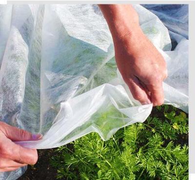 6400mm Agricultural Nonwoven Weed Control Fabric 60gsm