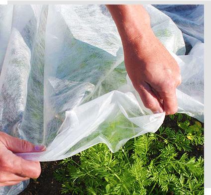 Breathable Nonwoven Fruit Cover Bags Agricultural Nonwoven For Banana And Grape Protection