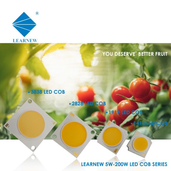 CRI 1919 3838 обломока сальто супер диод 10W 300W СИД 4046 УДАРОВ для света фотографии