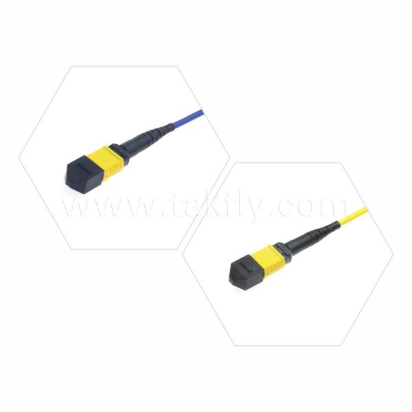 Data Center FTTX Fiber Optic Cable MPO Patch Cord MTP Trunk Cable Armored SM MM Jumper
