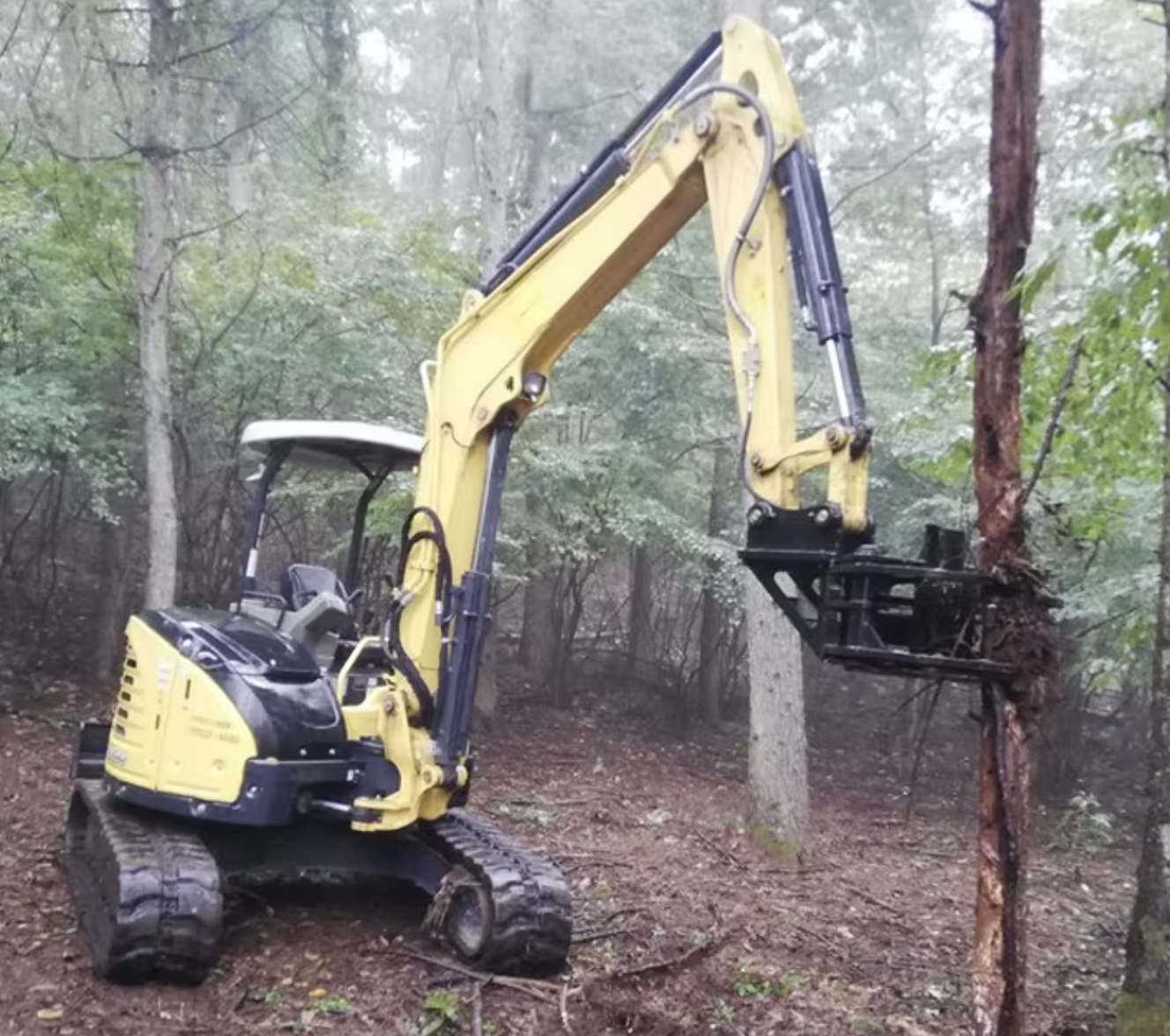 Rotary Tree Shear Hydraulic Tree Cutter For Efficient Tree Clearing