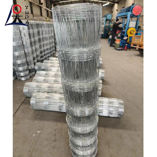 High Tensile Galvanized Field Fence for Cattle and Sheep