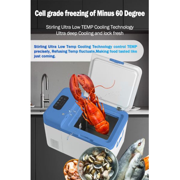 Репорт 12В/24В ДиС 25L Ультра низкотемпературный домашний склад Кампинговый портативный морозильник