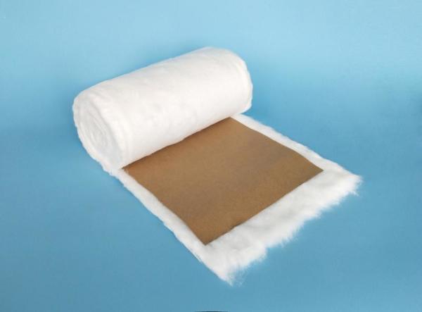 Medical Absorbent Cotton Wool Roll 500g With CE