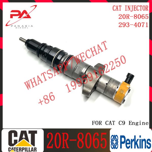 C7 C9 Diesel fuel injector 293-4073 20R-8065 10R-4844 328-2573 553-2592 557-7633 557-7637 328-2578 for C-A-T excavator