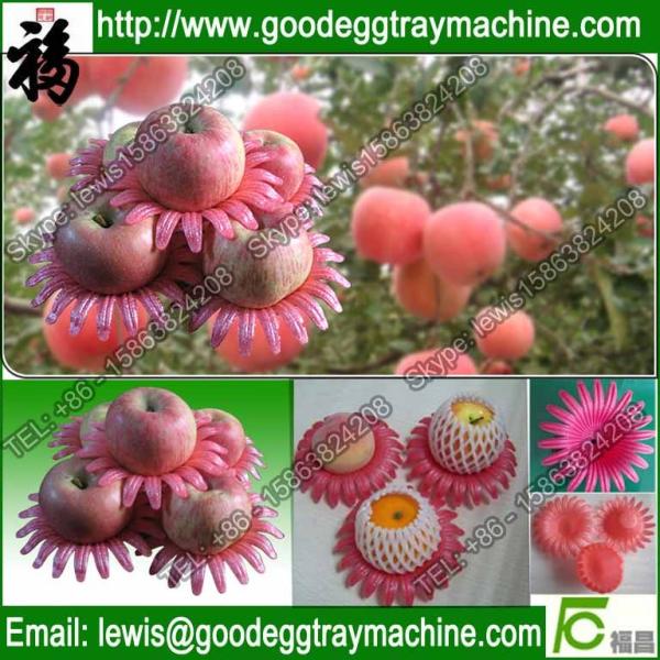 EPE Lotus Petal for apple/ pear/peach/orange/tomatoes