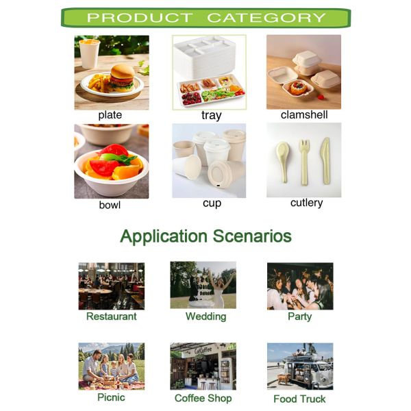 Eco Friendly Biodegradable Sugarcane Bowl Dish Paper Tableware Manufacture