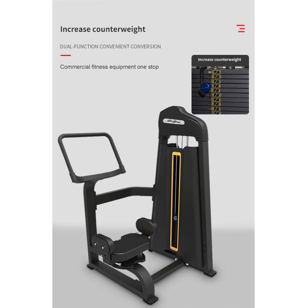 Professional Fitness Equipment Indoor Rotary Torso for Body Building Workout in Gym