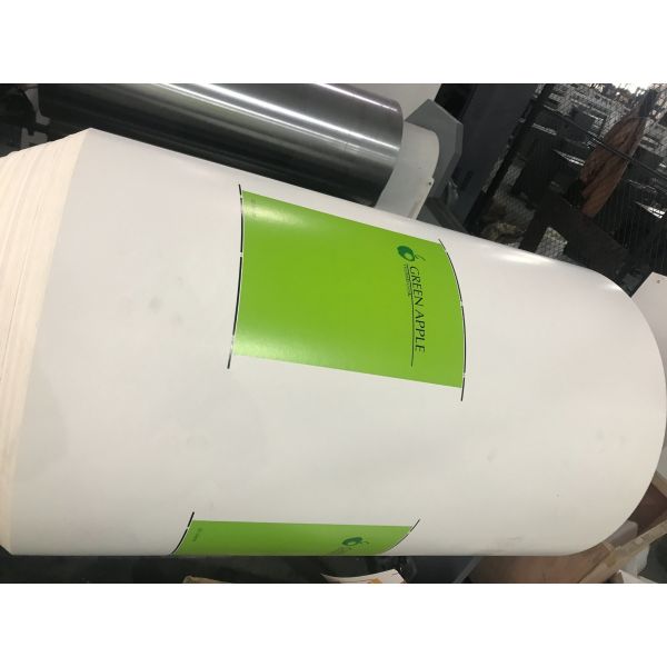 Customized 6 Colour Flexo Printing Machine 1524mm Diameter Powerful