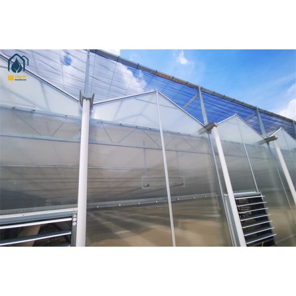 Large Polycarbonate Tunnel Greenhouse Agricultural PC Sheet Greenhouse