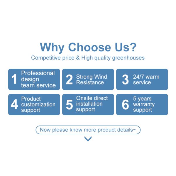 Одиночный пядь 150/200 микрон теплиц полиэтиленовой пленки пленки ПЭ аграрное вертикальное земледелие