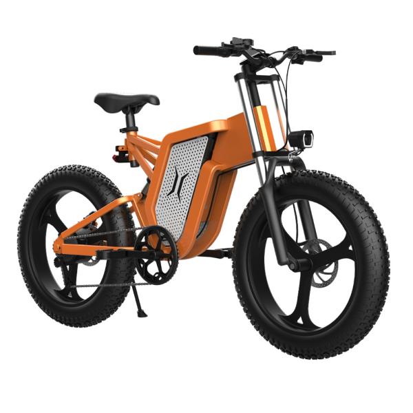 Smooth Riding 1000w 48v Electric Bike Ladies Urban Electric Bike 55km/H